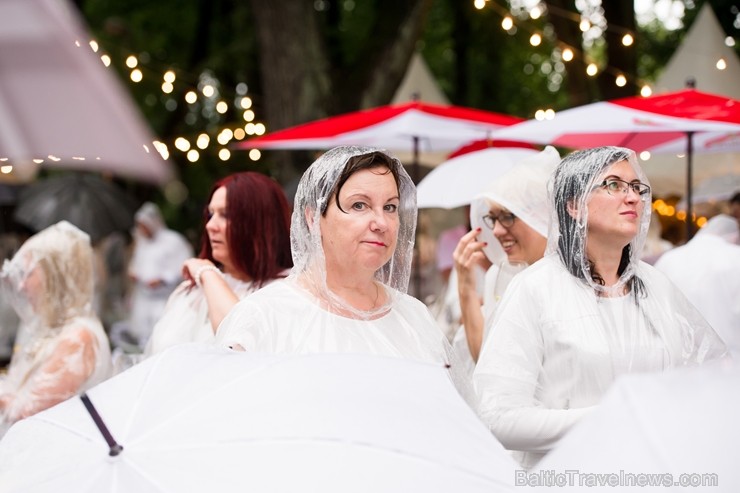 Jau ceturto gadu Rīgā notiek baltais pop-up pikniks «L’elegante Pop-Up Picnic» 227918