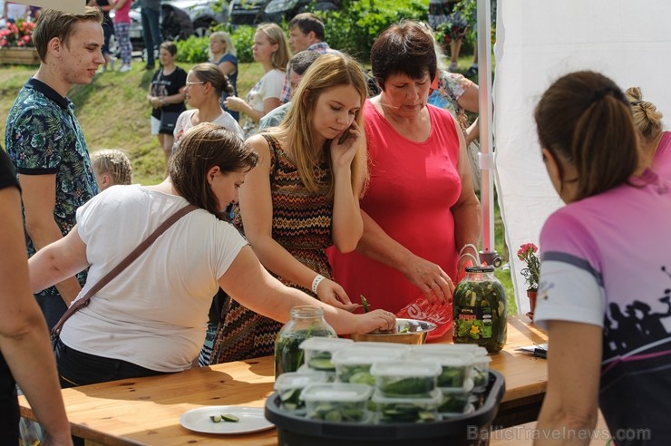 Zaubē tiek aizvadīts savvaļas kulinārais festivāls 228379