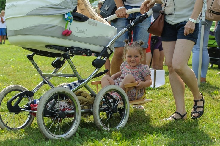 Zaubē tiek aizvadīts savvaļas kulinārais festivāls 228380