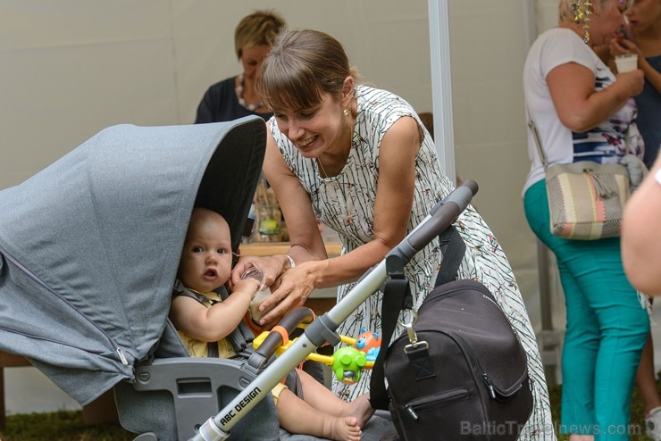 Zaubē tiek aizvadīts savvaļas kulinārais festivāls 228391