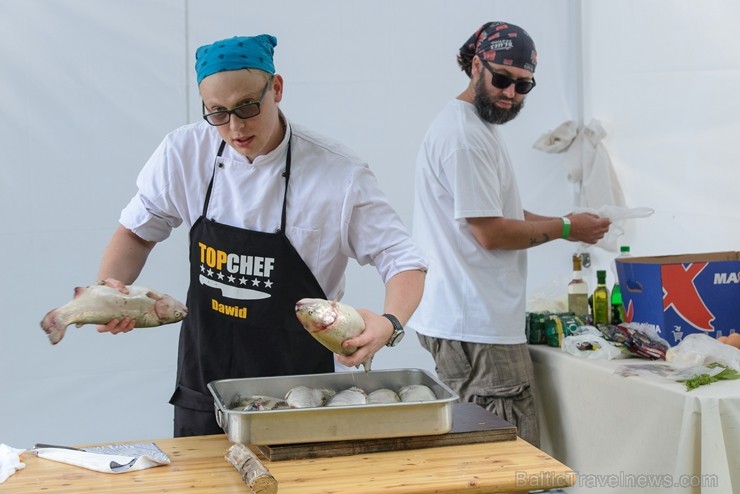 Zaubē tiek aizvadīts savvaļas kulinārais festivāls 228393