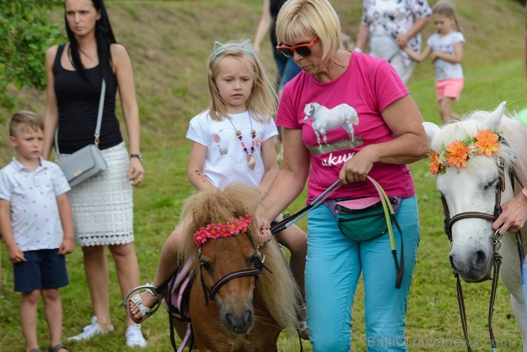 Zaubē tiek aizvadīts savvaļas kulinārais festivāls 228404