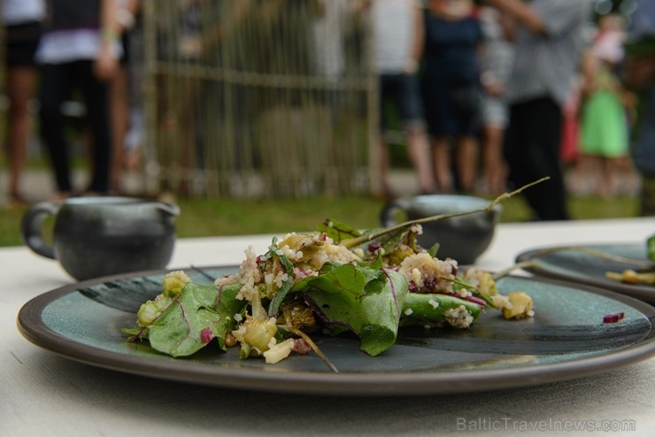 Zaubē tiek aizvadīts savvaļas kulinārais festivāls 228421