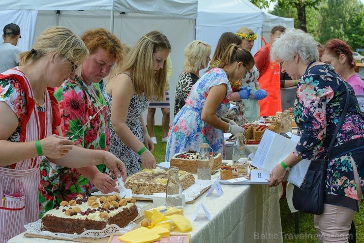 Zaubē tiek aizvadīts savvaļas kulinārais festivāls 228443