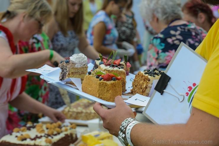 Zaubē tiek aizvadīts savvaļas kulinārais festivāls 228444