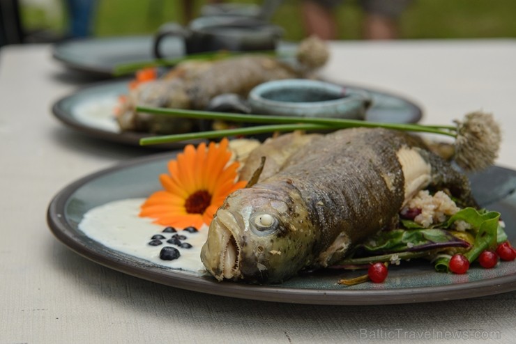Zaubes savvaļas kulinārais festivāls un Lejasezera vakariņas pārsteidz ar ēdienu bagātību 228720