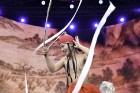 Grandiozi aizvadīta Latvijas simtgades  Rīgas svētku  Krastmalas programma 126