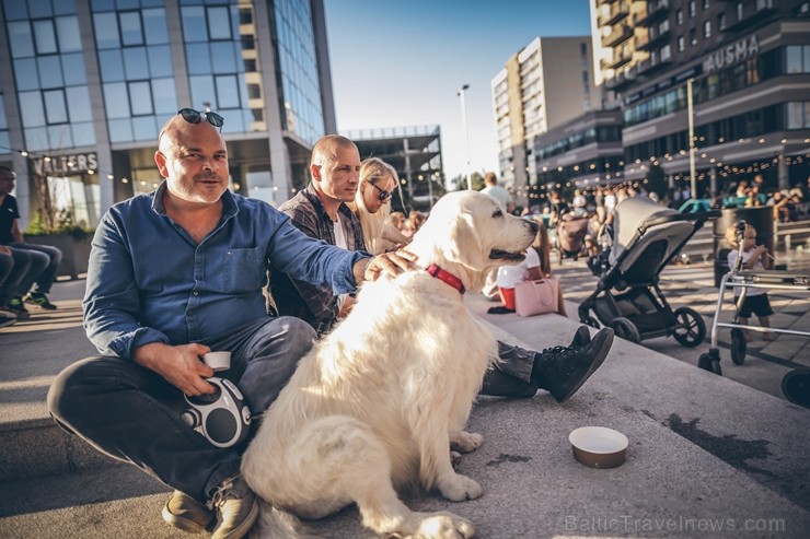 Jaunajā Teikā norisinās daudzveidīga ballīte ar street food, šahu, mūziku un stāstiem 232167