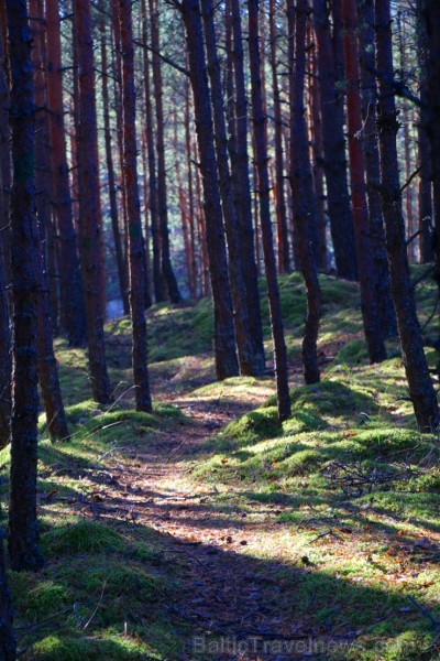 Travelnews.lv apmeklē dabas parku «Piejūra» un Carnikavas pludmali 234939