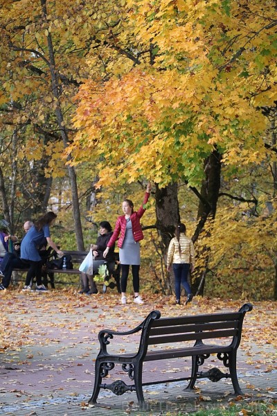 Travelnews.lv apceļo zelta rudens Latviju 235063