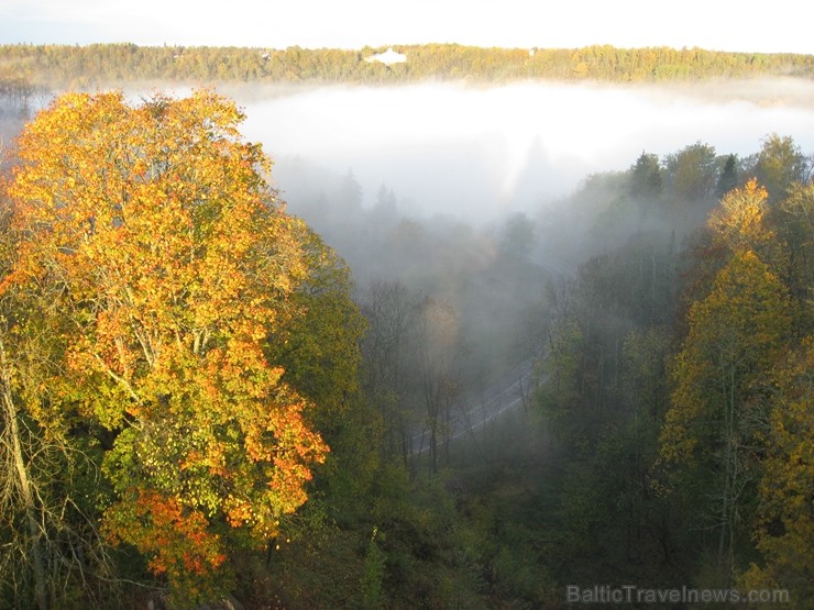Latvijas un ārvalstu iedzīvotāju ķert zelta lapu mirkļus, atspoguļojot brīnišķīgi krāšņo rudeni. Foto no Siguldas novada pašvaldības vizuālo materiālu Latvijas un ārvalstu iedzīvotāju ķert zelta lapu mirkļus, atspoguļojot brīnišķīgi krāšņo rudeni. Foto no Siguldas novada pašvaldības vizuālo materiālu 235228
