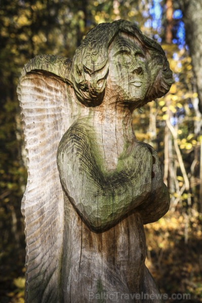 Bīriņu Pils parks ir brīnišķīga vieta zelta rudens baudīšanai 235576