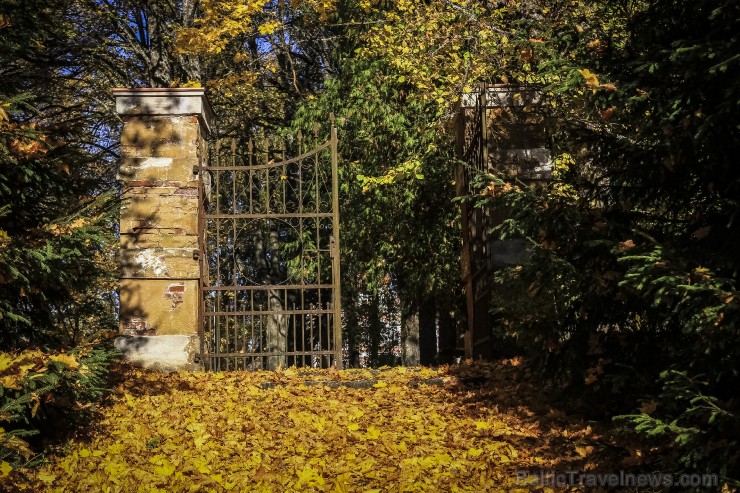 Bīriņu Pils parks ir brīnišķīga vieta zelta rudens baudīšanai 235580