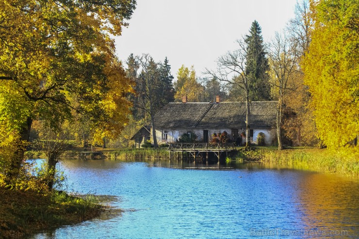 Bīriņu Pils parks ir brīnišķīga vieta zelta rudens baudīšanai 235584