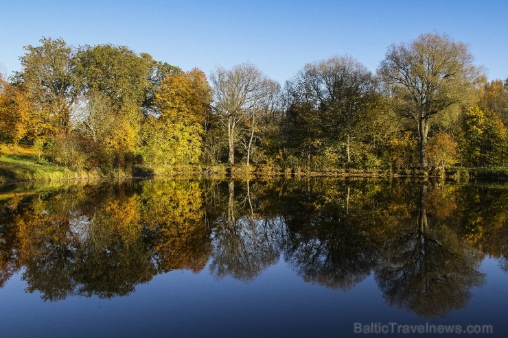 Bīriņu Pils parks ir brīnišķīga vieta zelta rudens baudīšanai 235587