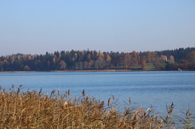 Senatnīgajā Ziemeļvidzemes pilsētā Alūksnē un tās apkārtnē valda zelta rudens. Foto: Dārta Katrīne Sliede Senatnīgajā Ziemeļvidzemes pilsētā Alūksnē un tās apkārtnē valda zelta rudens. Foto: Dārta Katrīne Sliede 235802
