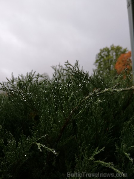 Senatnīgajā Ziemeļvidzemes pilsētā Alūksnē un tās apkārtnē valda zelta rudens. Foto: Kristīne Egle Senatnīgajā Ziemeļvidzemes pilsētā Alūksnē un tās apkārtnē valda zelta rudens. Foto: Kristīne Egle 235810