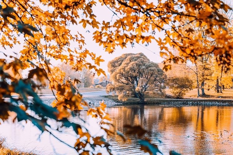 Senatnīgajā Ziemeļvidzemes pilsētā Alūksnē un tās apkārtnē valda zelta rudens. Foto: Linda Arāja 235815