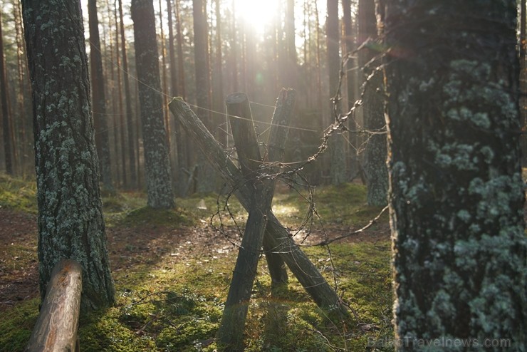 Šogad Rīgas lielās ziemassvētku egles tika meklētas vēsturiski ļoti nozīmīgā vietā, kur pirms 102 gadiem norisinājās Ziemassvētku kaujas. Pirms egļu m Šogad Rīgas lielās ziemassvētku egles tika meklētas vēsturiski ļoti nozīmīgā vietā, kur pirms 102 gadiem norisinājās Ziemassvētku kaujas. Pirms egļu m 238405