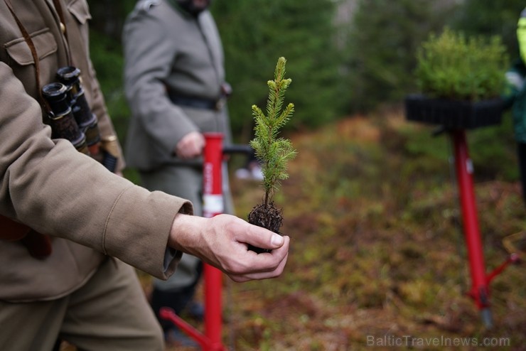 Šogad Rīgas lielās ziemassvētku egles tika meklētas vēsturiski ļoti nozīmīgā vietā, kur pirms 102 gadiem norisinājās Ziemassvētku kaujas. Pirms egļu m Šogad Rīgas lielās ziemassvētku egles tika meklētas vēsturiski ļoti nozīmīgā vietā, kur pirms 102 gadiem norisinājās Ziemassvētku kaujas. Pirms egļu m 238420