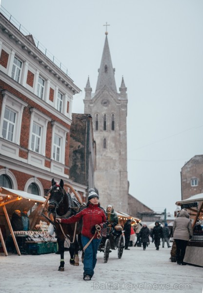 Cēsīs, gaidot Ziemassvētkus, pilsētas iedzīvotāji un viesi pulcējās kopā uz egles iedegšanu, tirdziņos meklēja un atrada gardas dāvanas un klausījās b 239823