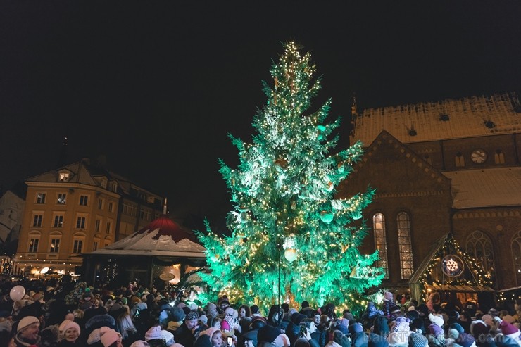 Ar krāšņiem koncertiem, Ziemassvētku vecīti, ponija izjādēm, karuseli, aitu un trušu aploku, meistarklasēm un skaistām dāvanām aizvadīts skaists mēnes Ar krāšņiem koncertiem, Ziemassvētku vecīti, ponija izjādēm, karuseli, aitu un trušu aploku, meistarklasēm un skaistām dāvanām aizvadīts skaists mēnes 242487
