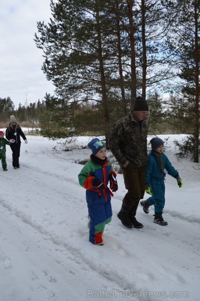 Interesantā pārgājiena laikā pasākuma dalībnieki tika izglītoti par dzīvniekiem ziemā, atstātajiem pēdu nospiedumiem, varēja noskaidrot no kurienes at Interesantā pārgājiena laikā pasākuma dalībnieki tika izglītoti par dzīvniekiem ziemā, atstātajiem pēdu nospiedumiem, varēja noskaidrot no kurienes at 243919