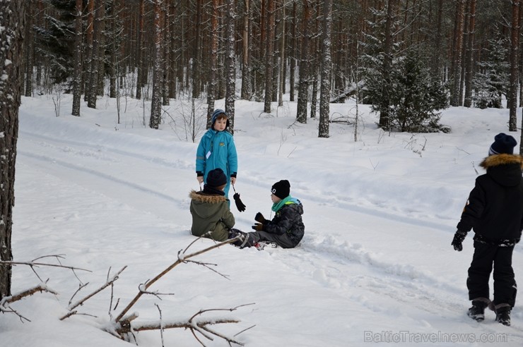 Interesantā pārgājiena laikā pasākuma dalībnieki tika izglītoti par dzīvniekiem ziemā, atstātajiem pēdu nospiedumiem, varēja noskaidrot no kurienes at Interesantā pārgājiena laikā pasākuma dalībnieki tika izglītoti par dzīvniekiem ziemā, atstātajiem pēdu nospiedumiem, varēja noskaidrot no kurienes at 243936