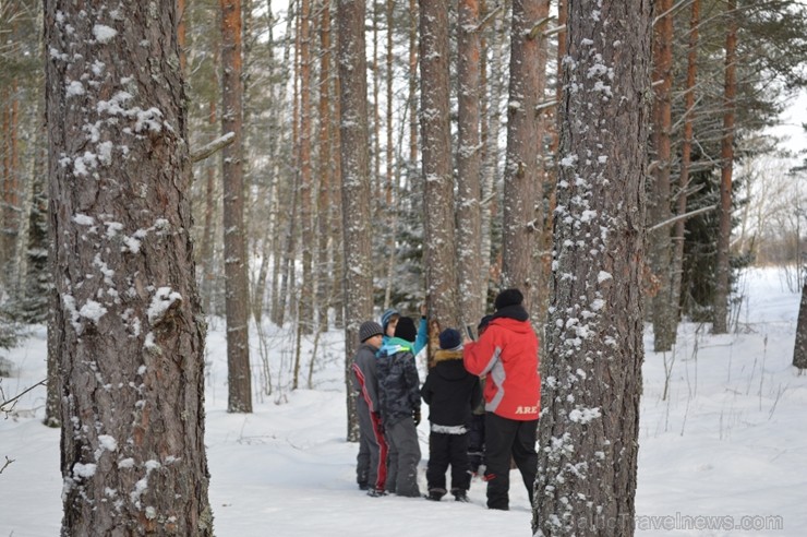 Interesantā pārgājiena laikā pasākuma dalībnieki tika izglītoti par dzīvniekiem ziemā, atstātajiem pēdu nospiedumiem, varēja noskaidrot no kurienes at Interesantā pārgājiena laikā pasākuma dalībnieki tika izglītoti par dzīvniekiem ziemā, atstātajiem pēdu nospiedumiem, varēja noskaidrot no kurienes at 243937