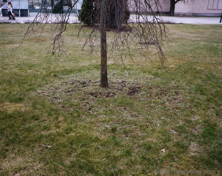 Ekspozīciju veido spilgts glezniecības, grafikas, instalāciju, foto un videomākslas kopums, ko radījuši sestajai Purvīša balvai par izcilāko sniegumu Ekspozīciju veido spilgts glezniecības, grafikas, instalāciju, foto un videomākslas kopums, ko radījuši sestajai Purvīša balvai par izcilāko sniegumu 248341