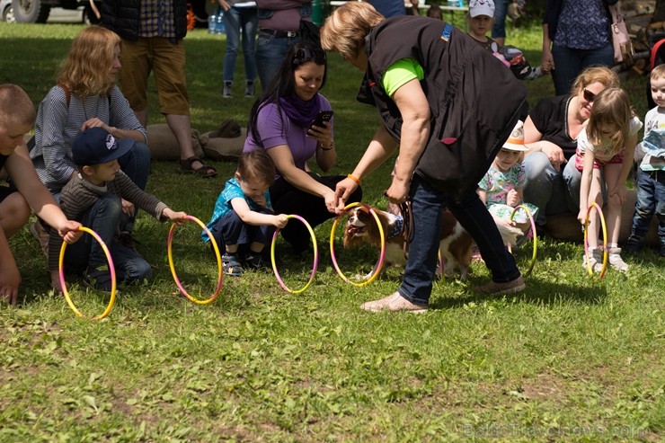 Preiļu novada Jasmuižas parkā pirmo reizi tika rīkots ekofestivāls 