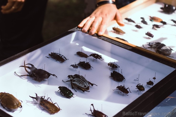 Preiļu novada Jasmuižas parkā pirmo reizi tika rīkots ekofestivāls 