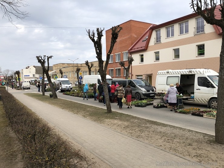 Gulbenes Zaļais tirdziņš notiek katra mēneša trešajā sestdienā un tajā var atrast tikai pašu novadnieku ražotu, audzētu un darinātu produkciju 257359