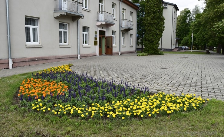 Šogad Preiļu pilsētas ziedu apstādījumos valda lillā, dzeltenais un oranžais tonis, bet Preiļu pilsētas centru rotā krāšņa ziedu upe 258379