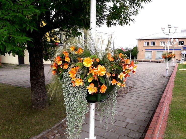 Šogad Preiļu pilsētas ziedu apstādījumos valda lillā, dzeltenais un oranžais tonis, bet Preiļu pilsētas centru rotā krāšņa ziedu upe 258392