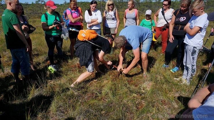 Ziemeļvidzemes biosfēras rezervāts ir vienīgā šāda veida īpaši aizsargājamā dabas teritorija Latvijā, kas aptver 457 600 hektārus sauszemes un 16 750 Ziemeļvidzemes biosfēras rezervāts ir vienīgā šāda veida īpaši aizsargājamā dabas teritorija Latvijā, kas aptver 457 600 hektārus sauszemes un 16 750 263678