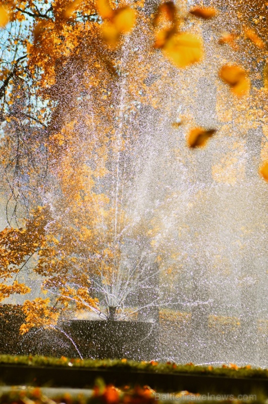 Lai arī šķiet, ka rudens tikai nupat sācies, nepamirkšķināsim ne acu, kad koki būs klāti zeltā! Izbaudi šo gleznaino laiku Alūksnes pusē! Lai arī šķiet, ka rudens tikai nupat sācies, nepamirkšķināsim ne acu, kad koki būs klāti zeltā! Izbaudi šo gleznaino laiku Alūksnes pusē! 266041