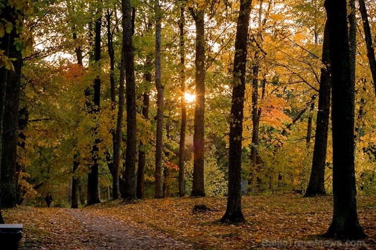 Lai arī šķiet, ka rudens tikai nupat sācies, nepamirkšķināsim ne acu, kad koki būs klāti zeltā! Izbaudi šo gleznaino laiku Alūksnes pusē! Lai arī šķiet, ka rudens tikai nupat sācies, nepamirkšķināsim ne acu, kad koki būs klāti zeltā! Izbaudi šo gleznaino laiku Alūksnes pusē! 266057