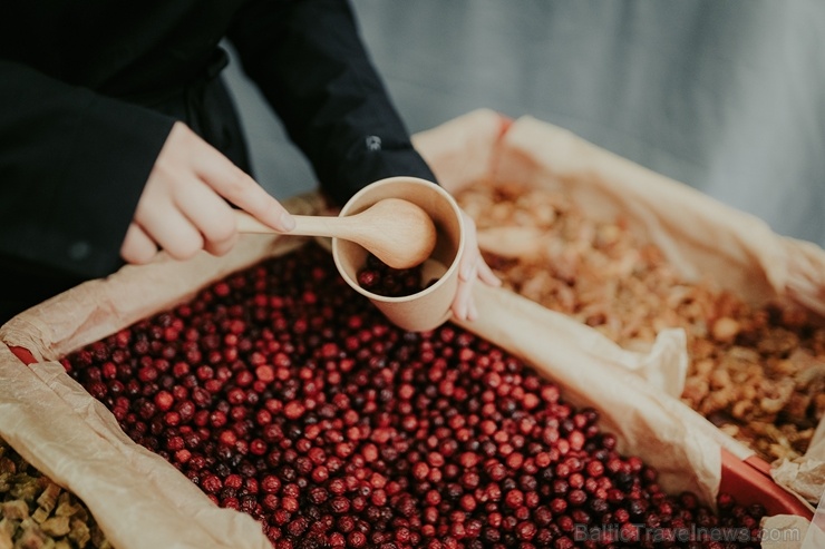 Ar svinībām un gardu mielastu Valmiermuižā atzīmē lielo darbu noslēgšanos, galdā ceļot visu, kas vasarā sarūpēts Ar svinībām un gardu mielastu Valmiermuižā atzīmē lielo darbu noslēgšanos, galdā ceļot visu, kas vasarā sarūpēts 266089