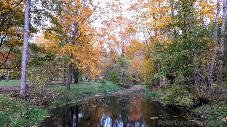 Preiļu pilsētu un parku ieskauj rudens zelts 267749