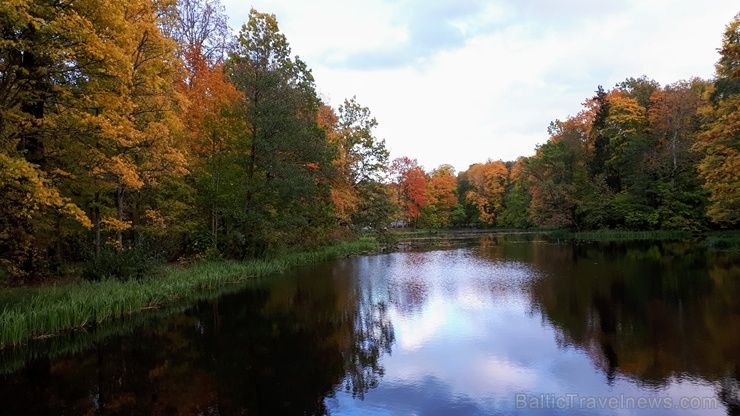 Preiļu pilsētu un parku ieskauj rudens zelts 267753