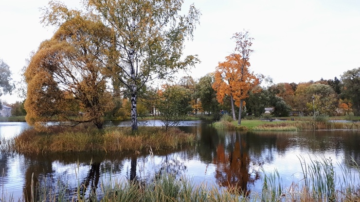 Preiļu pilsētu un parku ieskauj rudens zelts 267760