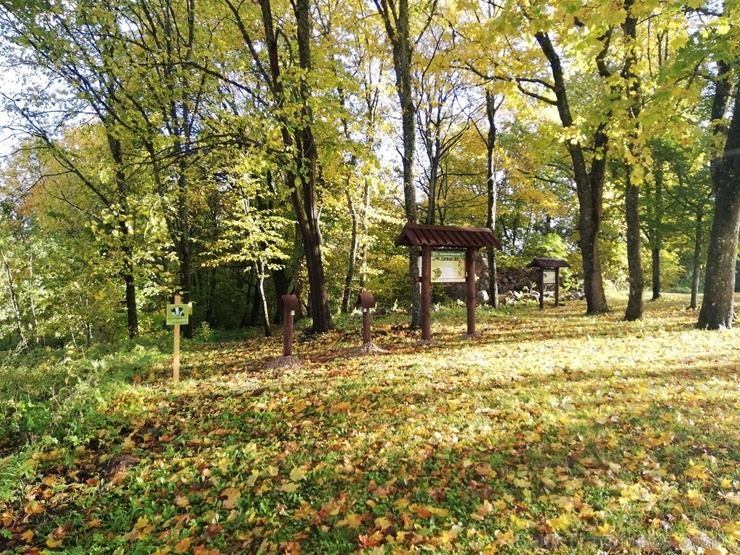 Jaundomes dabas taka Dagdā lieliski papildinās Jaundomes muižas Vides izglītības centra piedāvājumu -  tūristi varēs ne tikai iepazīt ezera pasauli ek 268547