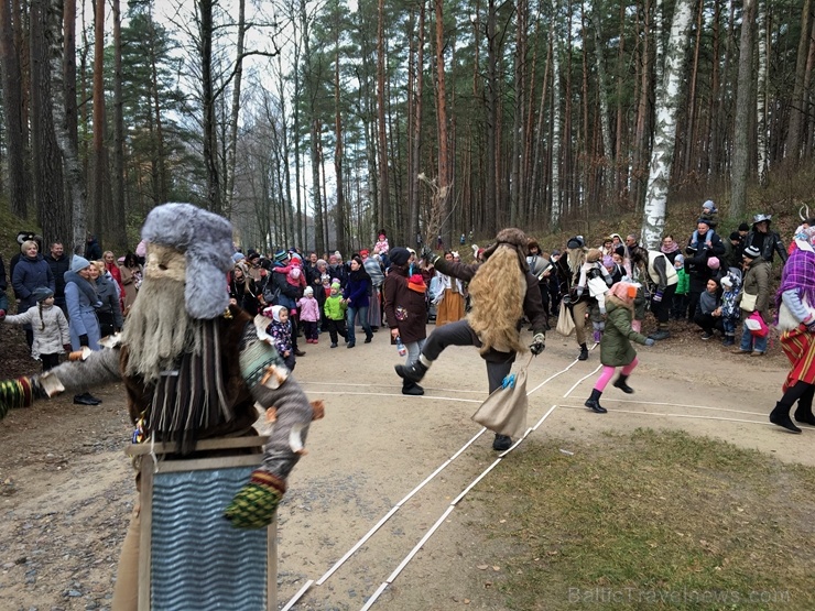 Latvijas Etnogrāfiskajā brīvdabas muzejā Mārtiņdienā norisinājās krāšņas svinības 270845