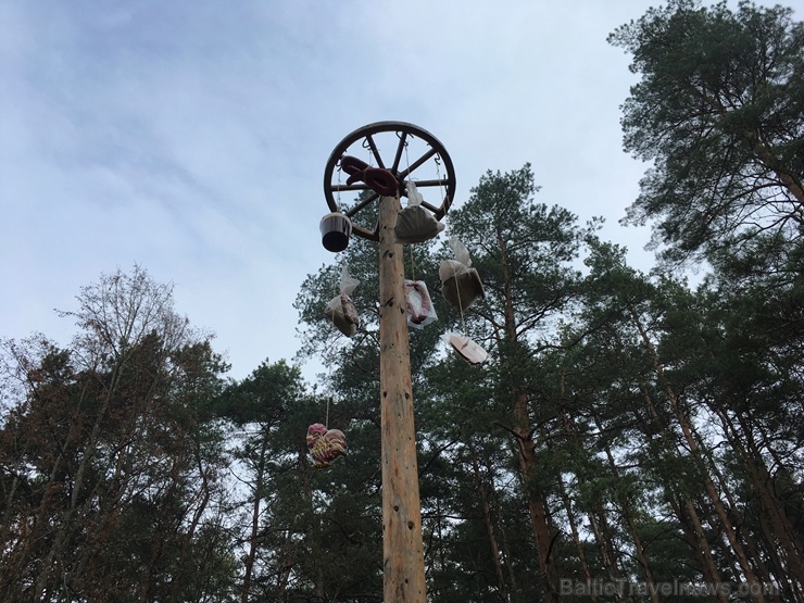 Latvijas Etnogrāfiskajā brīvdabas muzejā Mārtiņdienā norisinājās krāšņas svinības 270882