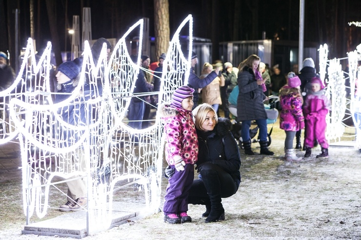 Jau trešo gadu Jūrmalā, Dzintaru mežaparkā, iemirdzējušās gaismas skulptūras un dekori, veidoti no tūkstošiem LED lampiņu virtenēm 272656