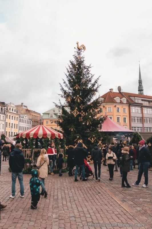 Ziemassvētku egle Rīgā 273821