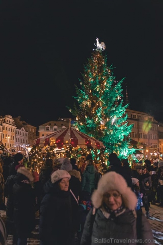 Ziemassvētku egle Rīgā 273822