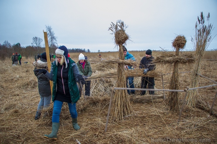 Niedru skulptūru festivāls ik gadu ļauj radoši izpausties un aizraujoši pavadīt laiku svaigā gaisā īpaši aizsargājamā dabas teritorijā 276895