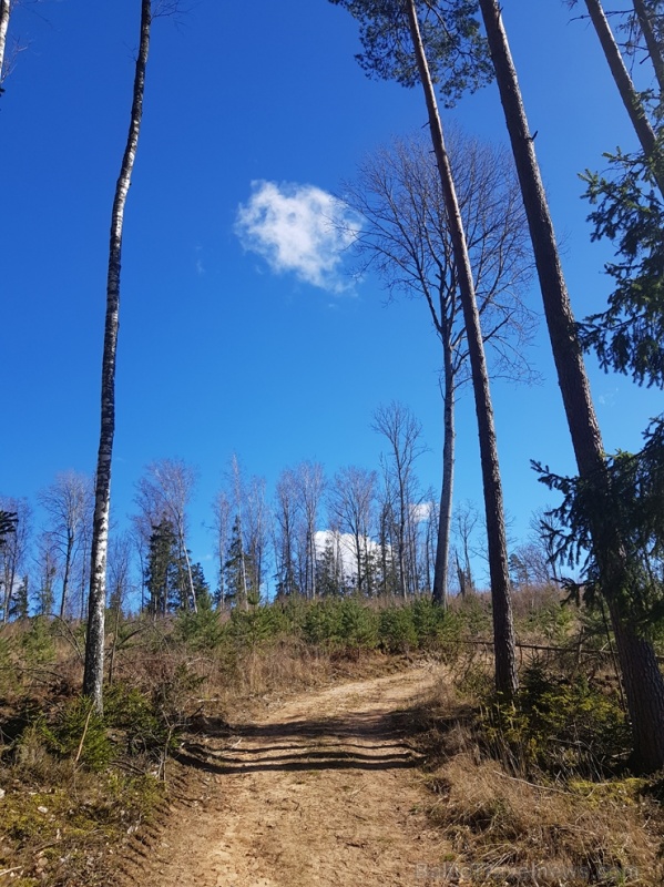 Staigājot pa taku, ir iespējams aplūkot augu, sūnu, ķērpju un kukaiņu daudzveidību, dižkokus, Jāņupītes stāvkrastu, kā arī novērtēt 2005. gada orkāna Staigājot pa taku, ir iespējams aplūkot augu, sūnu, ķērpju un kukaiņu daudzveidību, dižkokus, Jāņupītes stāvkrastu, kā arī novērtēt 2005. gada orkāna 280135
